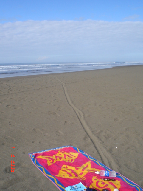 3-11 feb Flag Beach amiguitas + family (3)