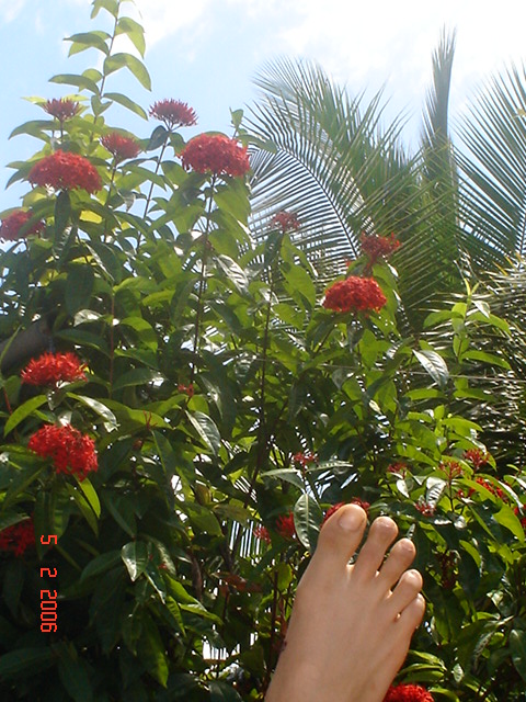 3-11 feb Flag Beach amiguitas + family (87)
