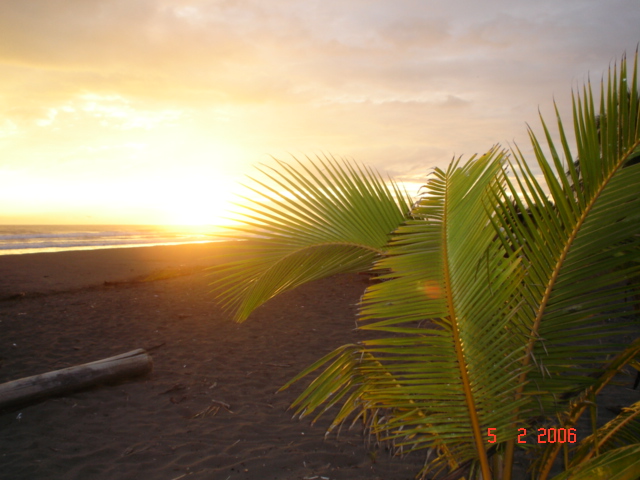 3-11 feb Flag Beach amiguitas + family (89)