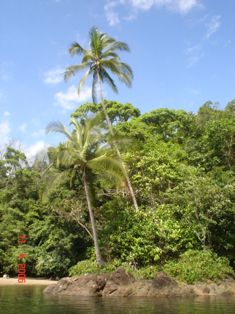 BAHIA DRAKE, semana santa (207)