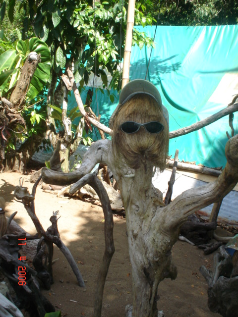 BAHIA DRAKE, semana santa (208)