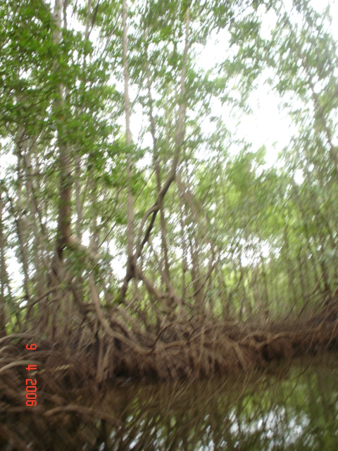 BAHIA DRAKE, semana santa (39)