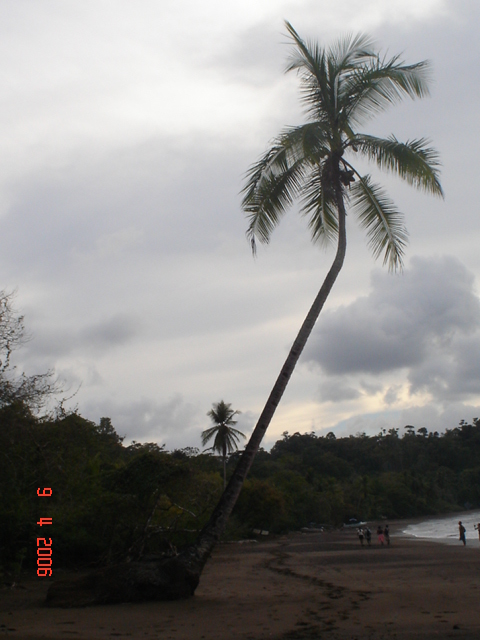 BAHIA DRAKE, semana santa (58)
