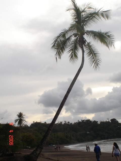 BAHIA DRAKE, semana santa (59)