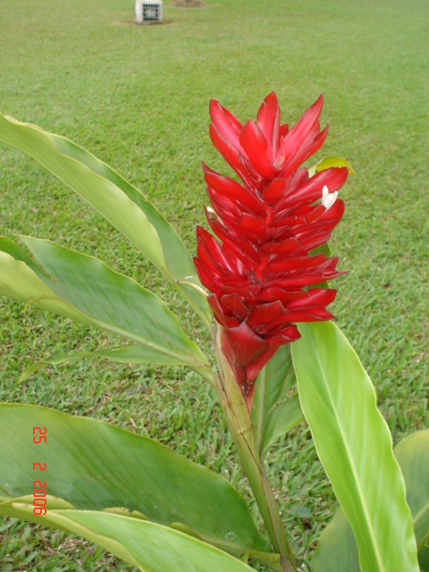 Cartago y  + 25 feb (11)