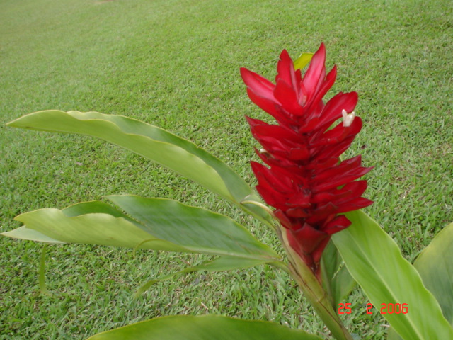 Cartago y  + 25 feb (13)