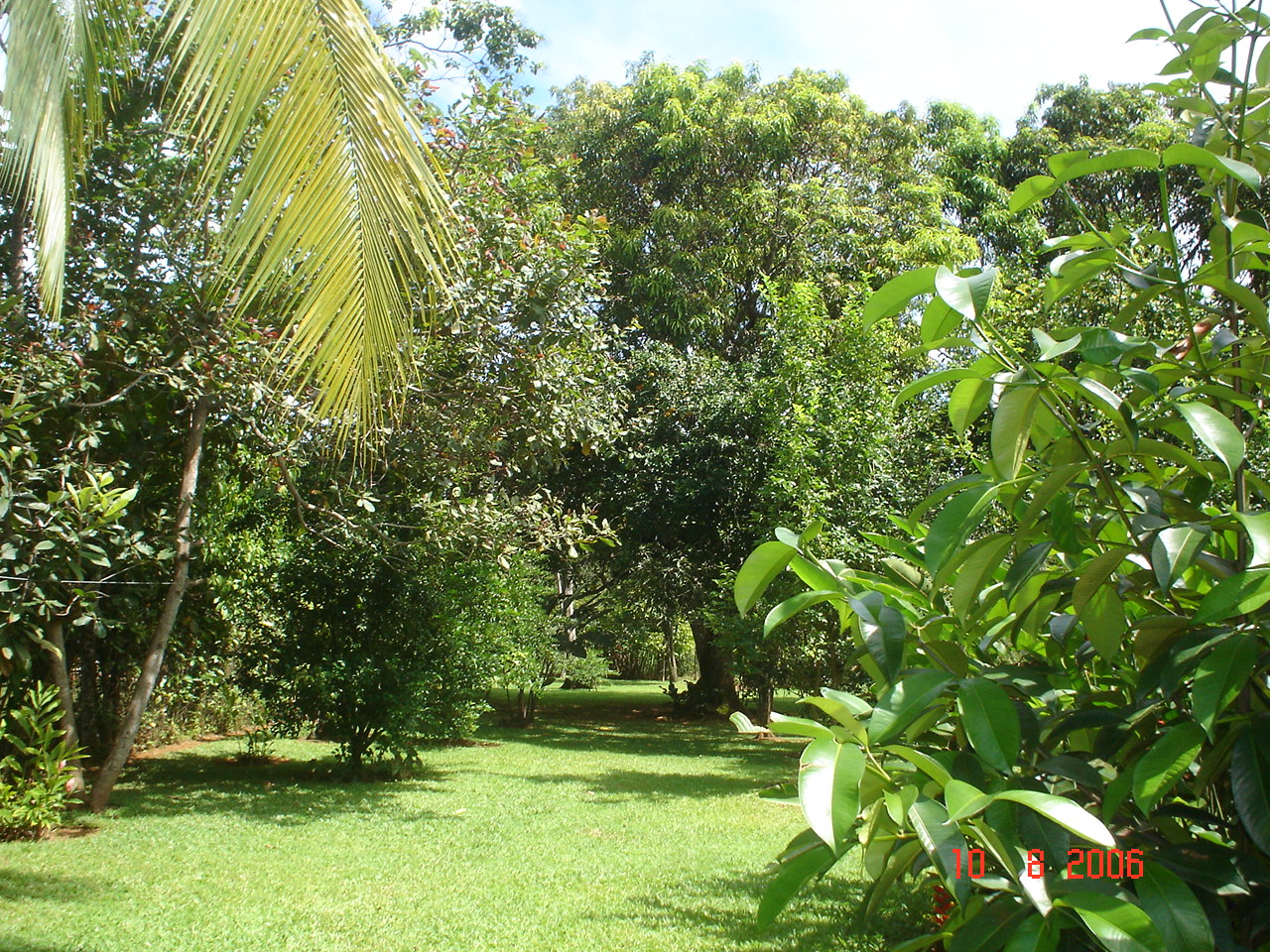 Manuel Antonio, villa nueva!!!! BUENASO!! 032