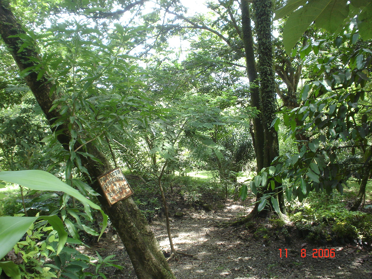 Manuel Antonio, villa nueva!!!! BUENASO!! 118