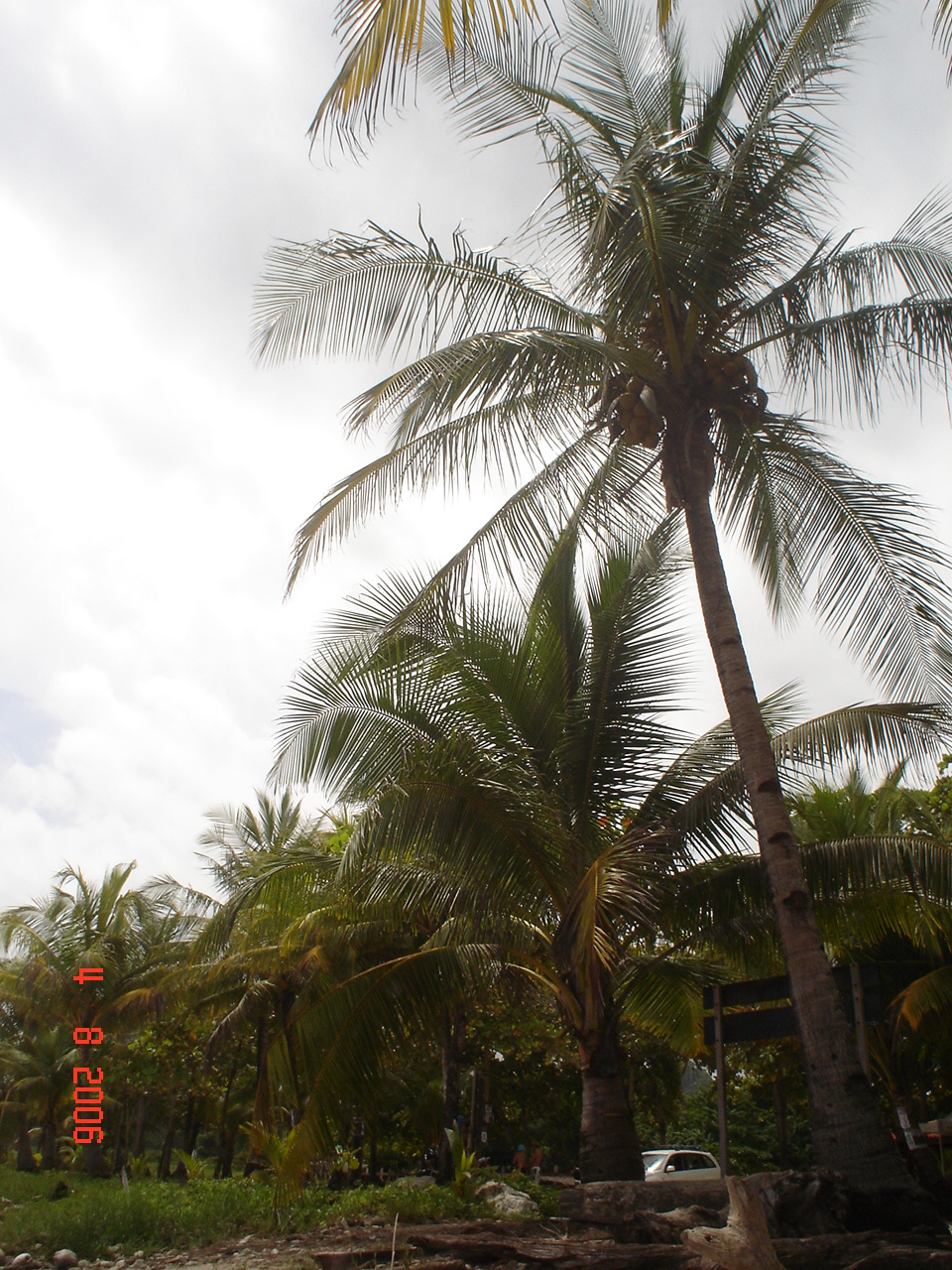 Sta. Teresa, pen. de Nicoya (42)