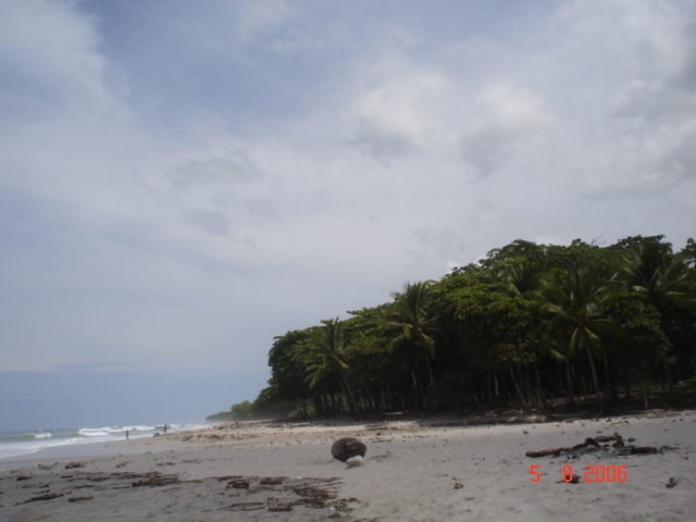 Sta. Teresa, pen. de Nicoya (57)