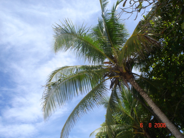 Sta. Teresa, pen. de Nicoya (94)
