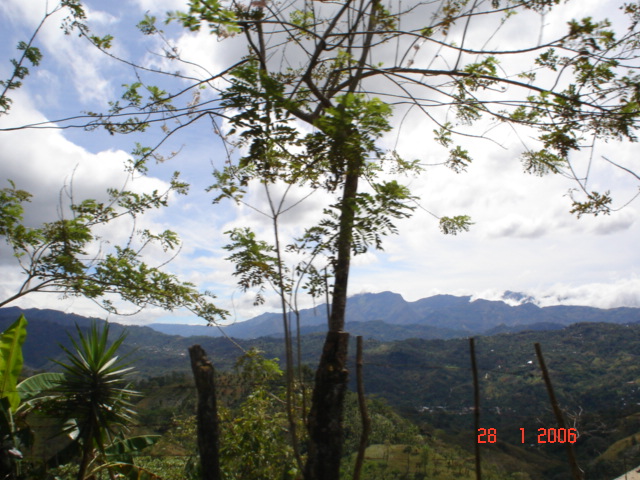 TIQUICIA (72)