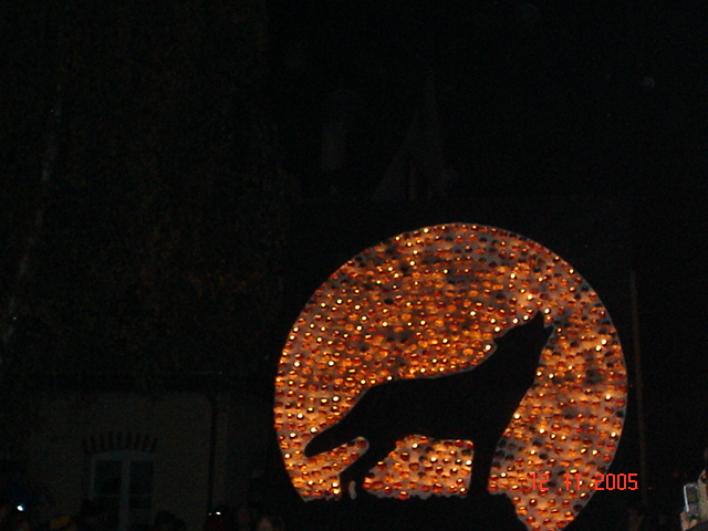 Rbechilbi Richterswil (39)