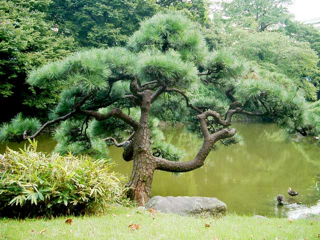 IMGP0656.jpg