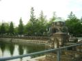 IMGP0661.jpg