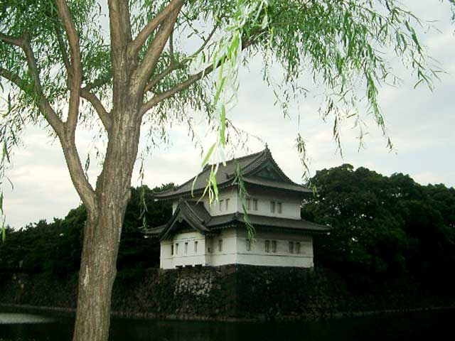 IMGP0668.jpg