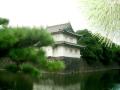 IMGP0669.jpg