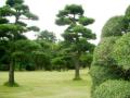 IMGP0672.jpg