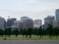 IMGP0677.jpg