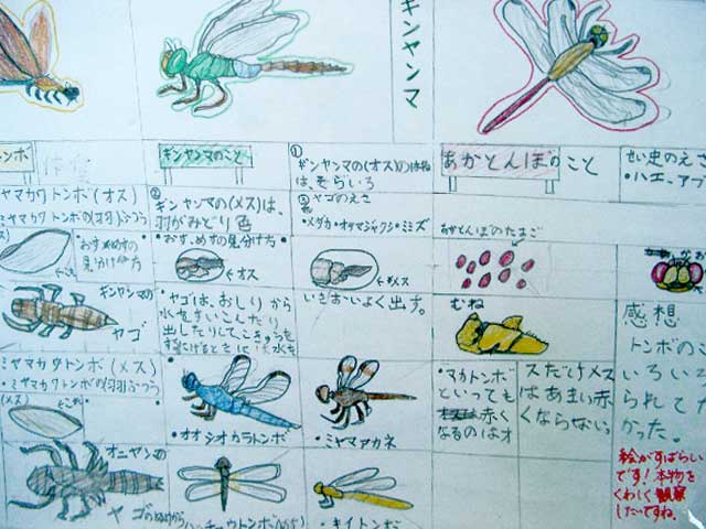 IMGP0718.jpg