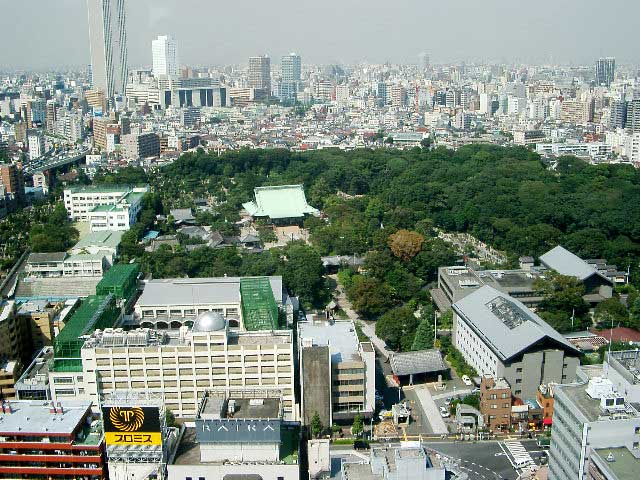 IMGP0782.jpg