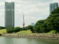 JAPON101.jpg